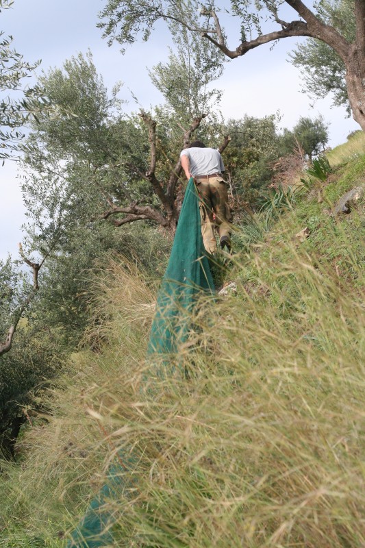 090 ...in steile Hoehen ..